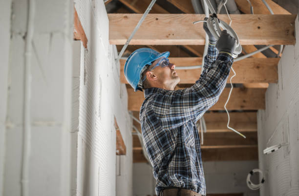 Best Generator Installation Services  in Roman Forest, TX